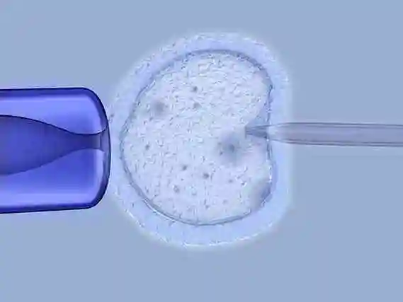 南昌当多元家庭拥抱新生命：解锁 “彩虹生子” 的温暖密码
