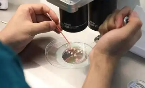 南昌打破偏见的生命礼赞：同性生子背后的爱与坚守